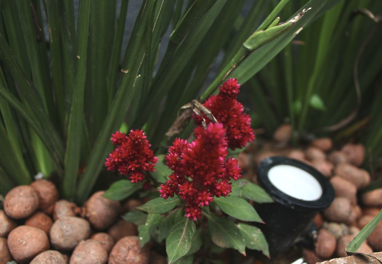 Zimmeranmietung in Cabo Frio - Pousada a 1 minuto da praia | UNR
