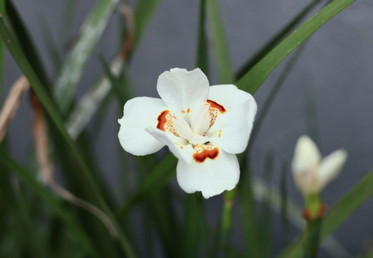 Rent by room in Cabo Frio - Pousada 1 minute from the beach | UNR