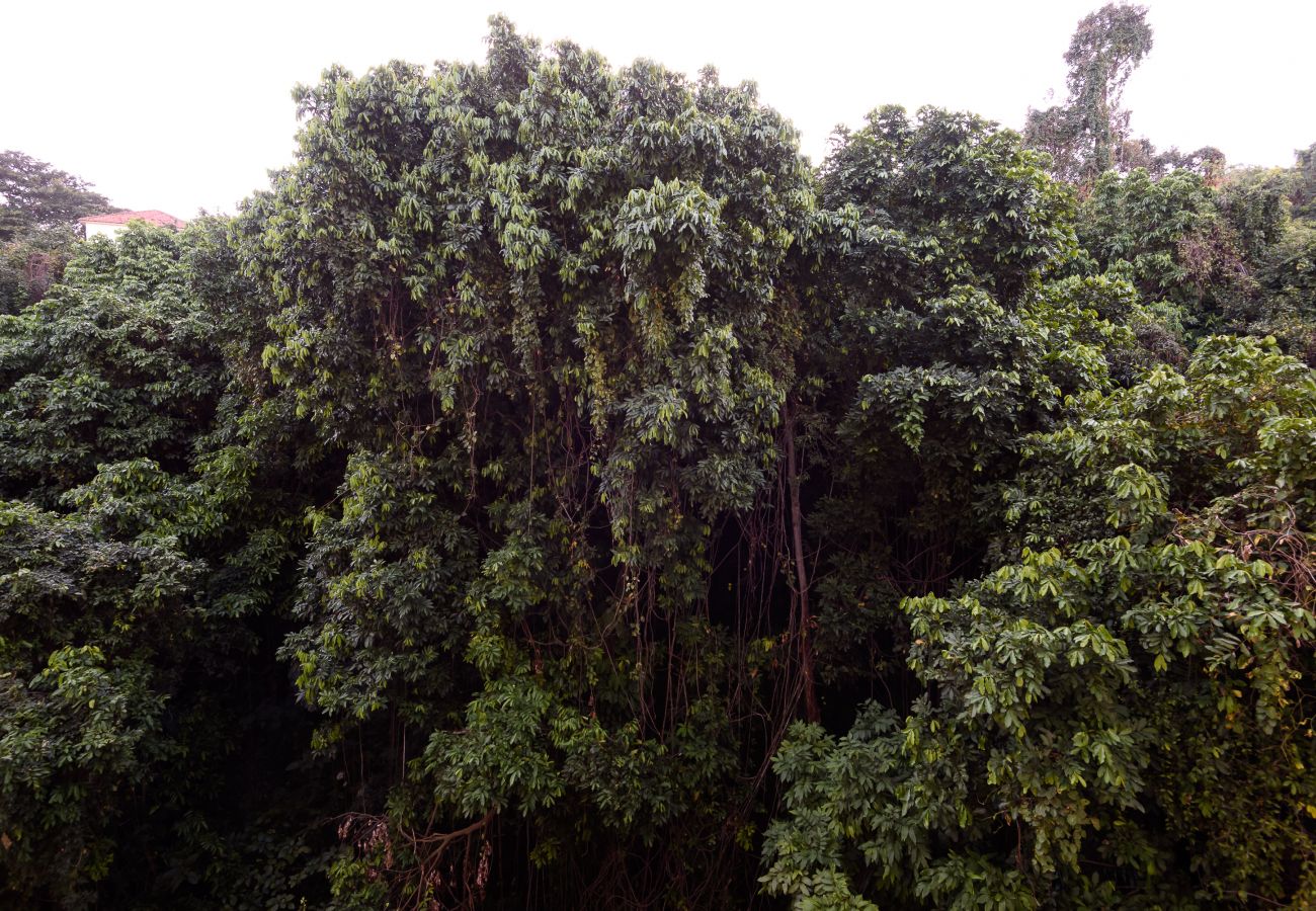 Appartamento a Rio de Janeiro - Sossego em Copa | Vista arborizada | BR1009